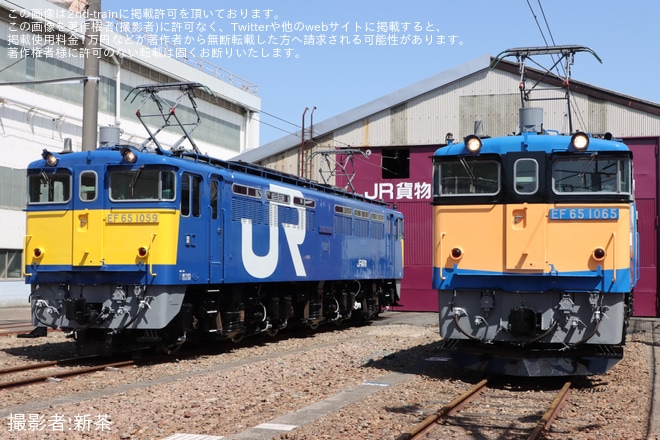 【JR貨】「EF65形式貨物オリジナル塗粧撮影会」開催