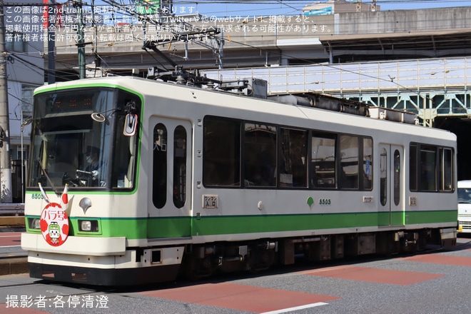 【都営】「都電バラ号」ヘッドマークを取り付け(2024年5月)を王寺駅前〜飛鳥山間で撮影した写真