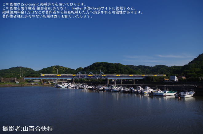 【JR東】255系Be-01編成使用の特急「新宿さざなみ1号・4号」 運行を竹岡～上総湊間で撮影した写真
