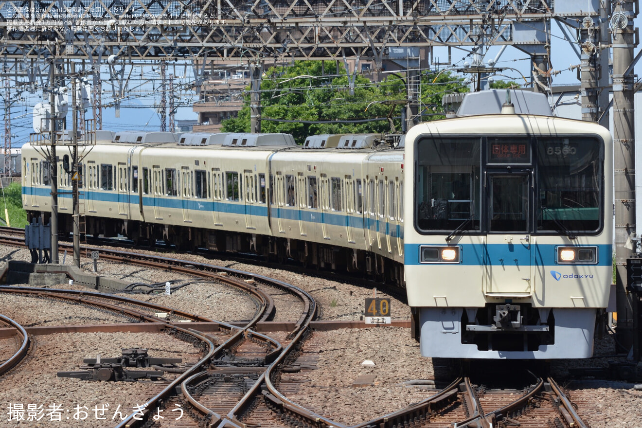 【小田急】8000形8260F(8260×6)団体専用列車の拡大写真