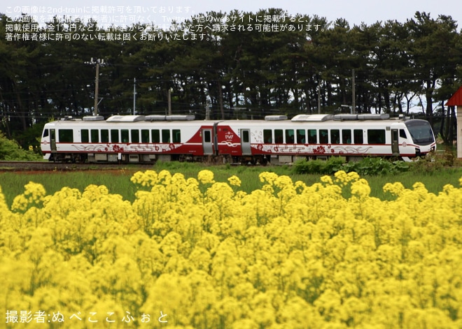 【JR東】「ひなび 下北」が運行を陸奥横浜〜有畑間で撮影した写真