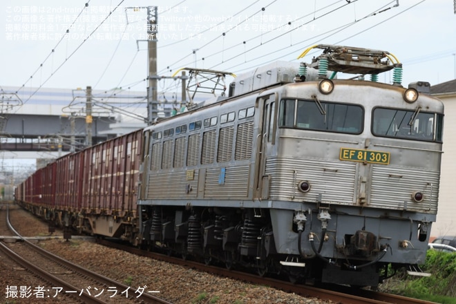 【JR貨】EF81-303が運用に復帰