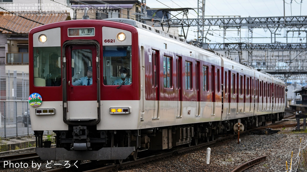 71GoxPFJoJL._AC_UF350,