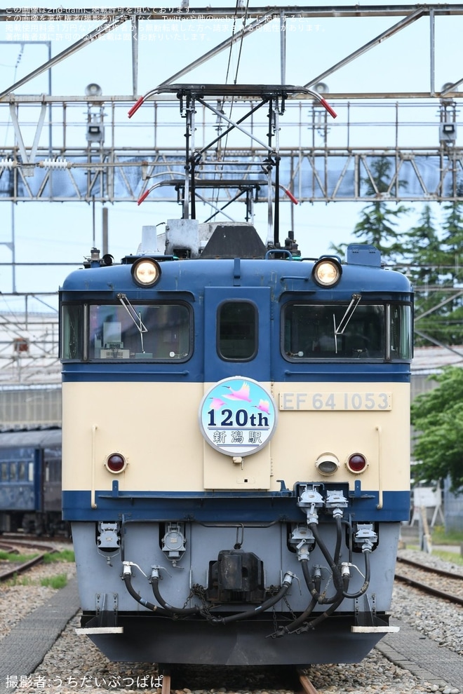 【JR東】『新潟駅開業120周年号』撮影会開催を新潟車両センターで撮影した写真