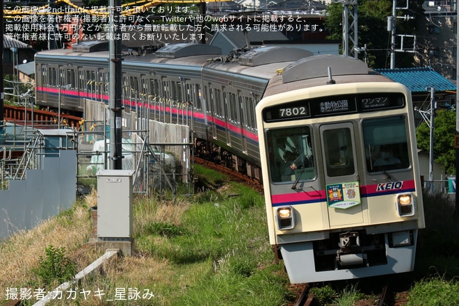 【京王】動物園線開通・ライオンバス運行開始60周年記念ヘッドマーク取り付けを不明で撮影した写真
