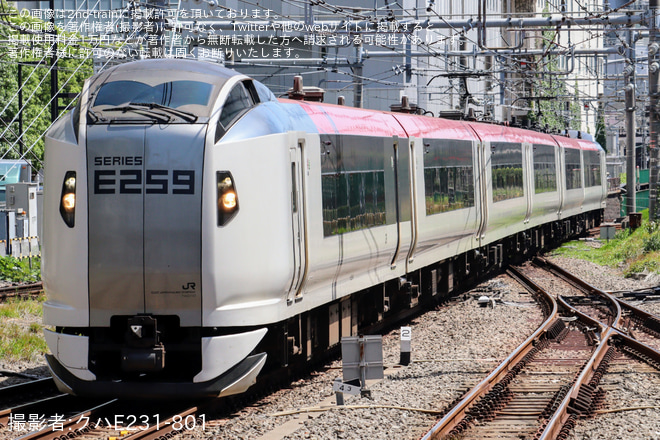 【JR東】E259系クラNe010編成大宮総合車両センター入場回送(202405)を新宿駅で撮影した写真