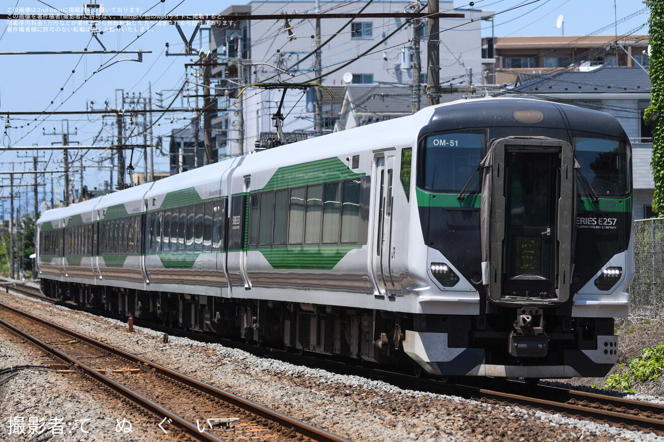 【JR東】臨時特急「夢うめ青梅•奥多摩号」が運転の拡大写真