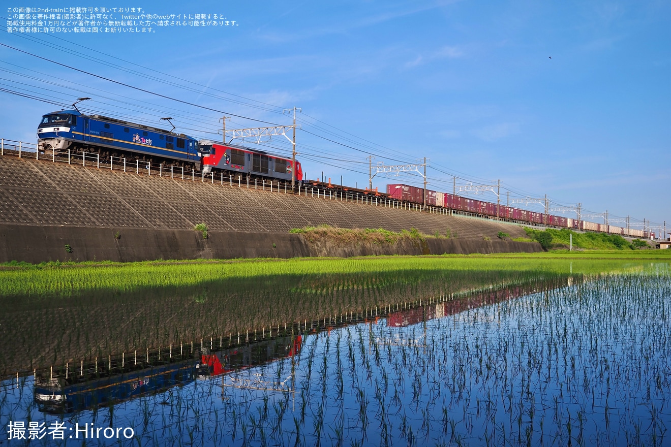 【JR貨】DF200-207「ウルド号」が静岡貨物への拡大写真