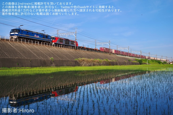 【JR貨】DF200-207「ウルド号」が静岡貨物へを不明で撮影した写真