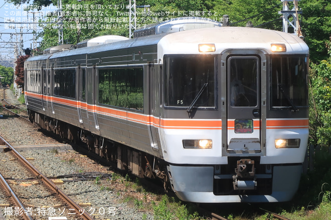 【JR海】373系使用の臨時急行「飯田線秘境駅号」運転(2024年5月)を牛久保駅で撮影した写真