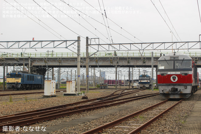 【JR貨】静岡貨物駅 一般公開(2024)
