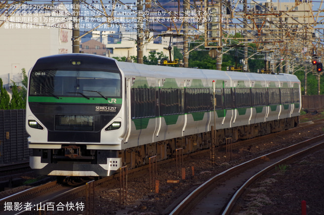 【JR東】E257系OM-93編成使用の特急「新宿わかしお」 運行を稲毛駅で撮影した写真