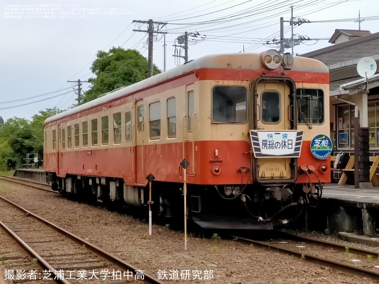 【いすみ】キハ52-125を使用した貸切列車の拡大写真