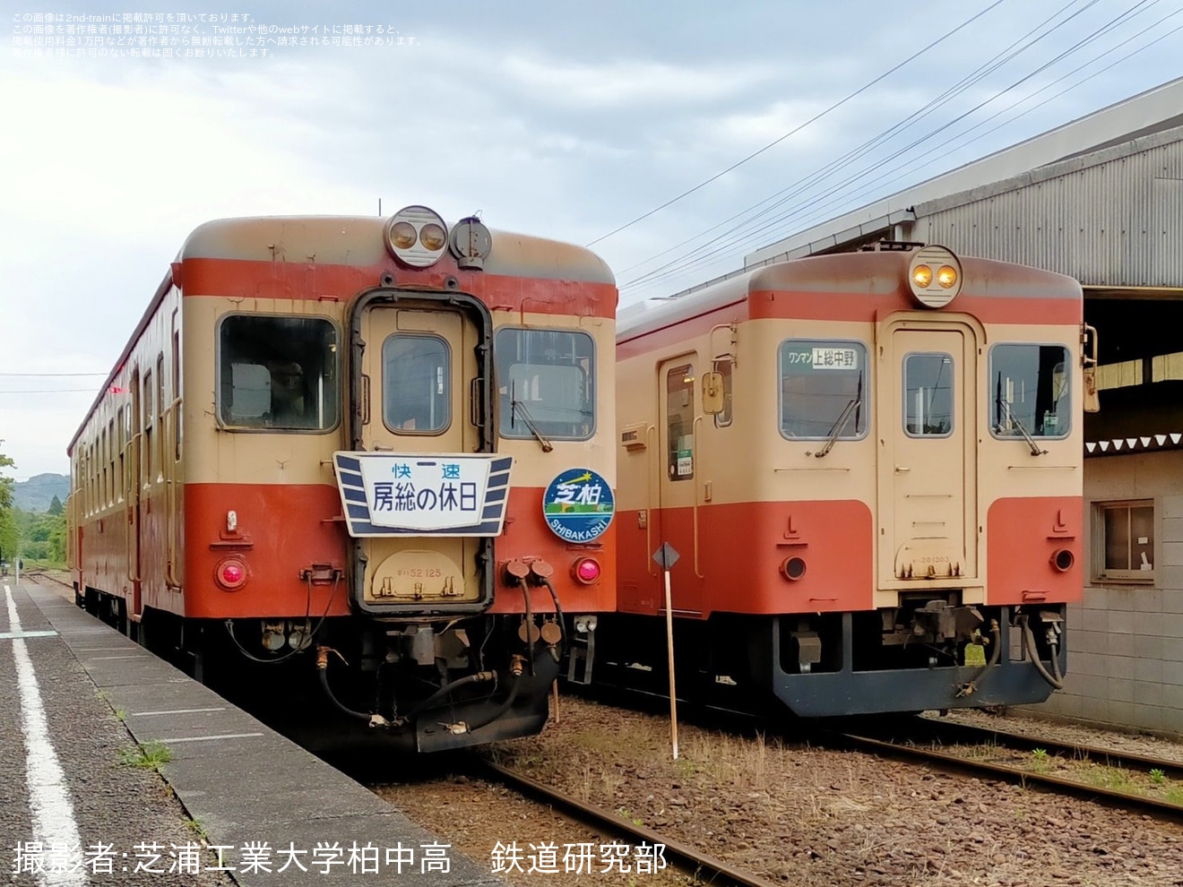 【いすみ】キハ52-125を使用した貸切列車の拡大写真