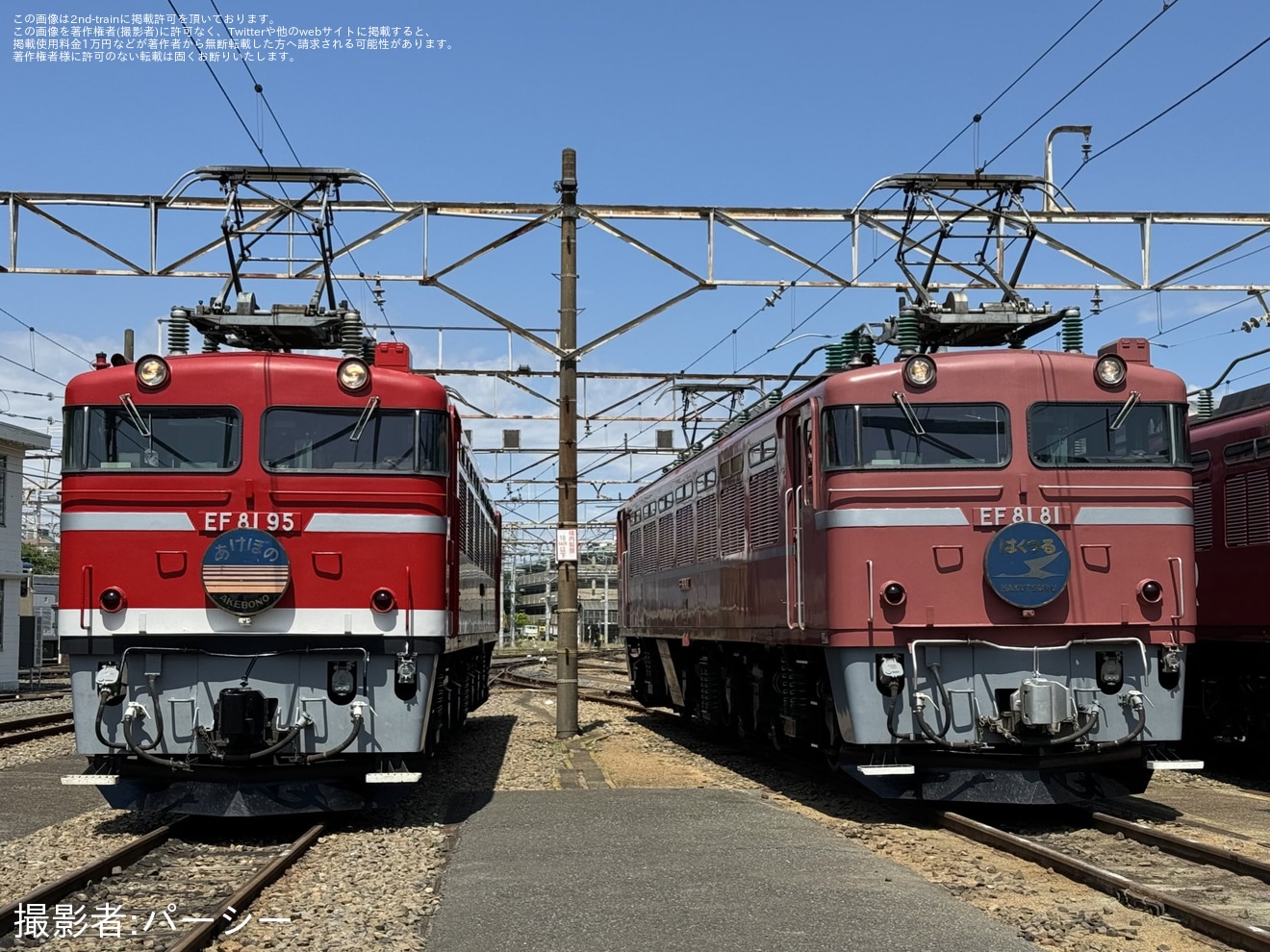 【JR東】尾久車両センター機関車撮影会『EF81形会』が開催(20240525)の拡大写真
