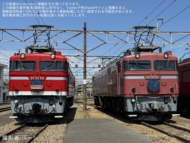 【JR東】尾久車両センター機関車撮影会『EF81形会』が開催(20240525)