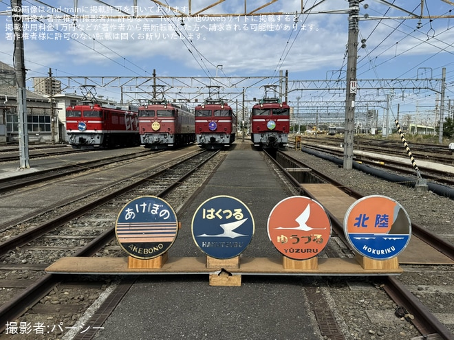 【JR東】尾久車両センター機関車撮影会『EF81形会』が開催(20240525)を不明で撮影した写真
