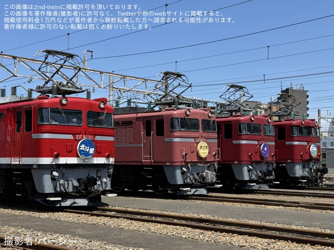 【JR東】尾久車両センター機関車撮影会『EF81形会』が開催(20240525)を尾久車両センターで撮影した写真