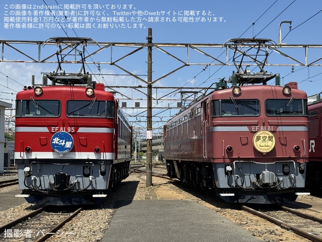 【JR東】尾久車両センター機関車撮影会『EF81形会』が開催(20240525)を不明で撮影した写真