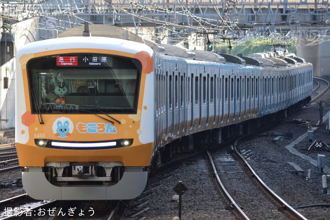 【小田急】5000形5055F(5055×10)もころん号 新デザインラッピング開始の拡大写真