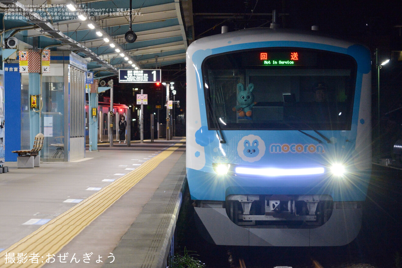 【小田急】5000形5055F(5055×10)もころん号 新デザインラッピング開始の拡大写真