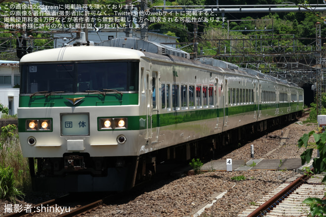 【JR東】185系C1編成使用の伊豆急下田行き団体臨時列車を熱海駅で撮影した写真