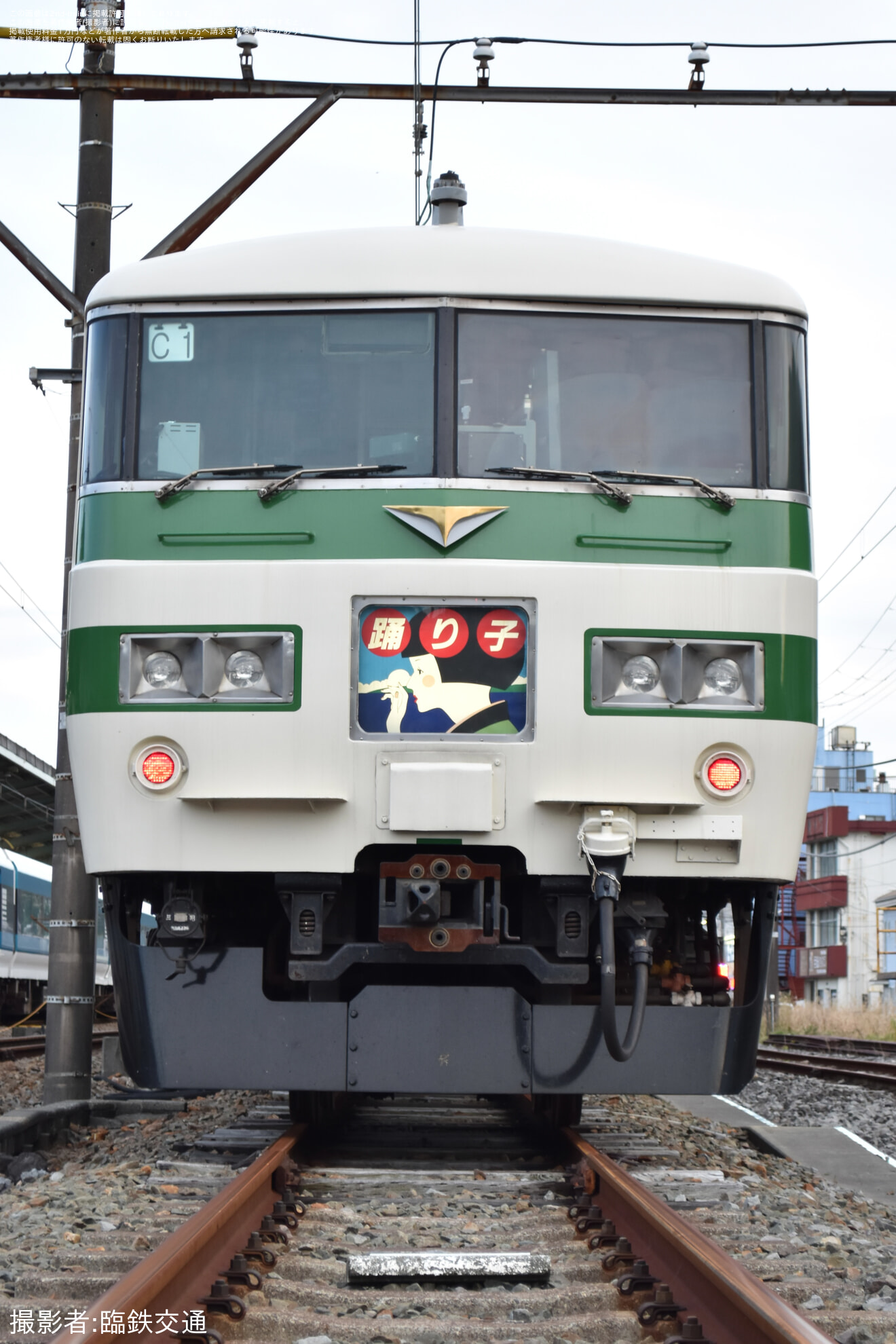 【伊豆急】『185系伊豆急下田駅構内360°撮影会』開催の拡大写真