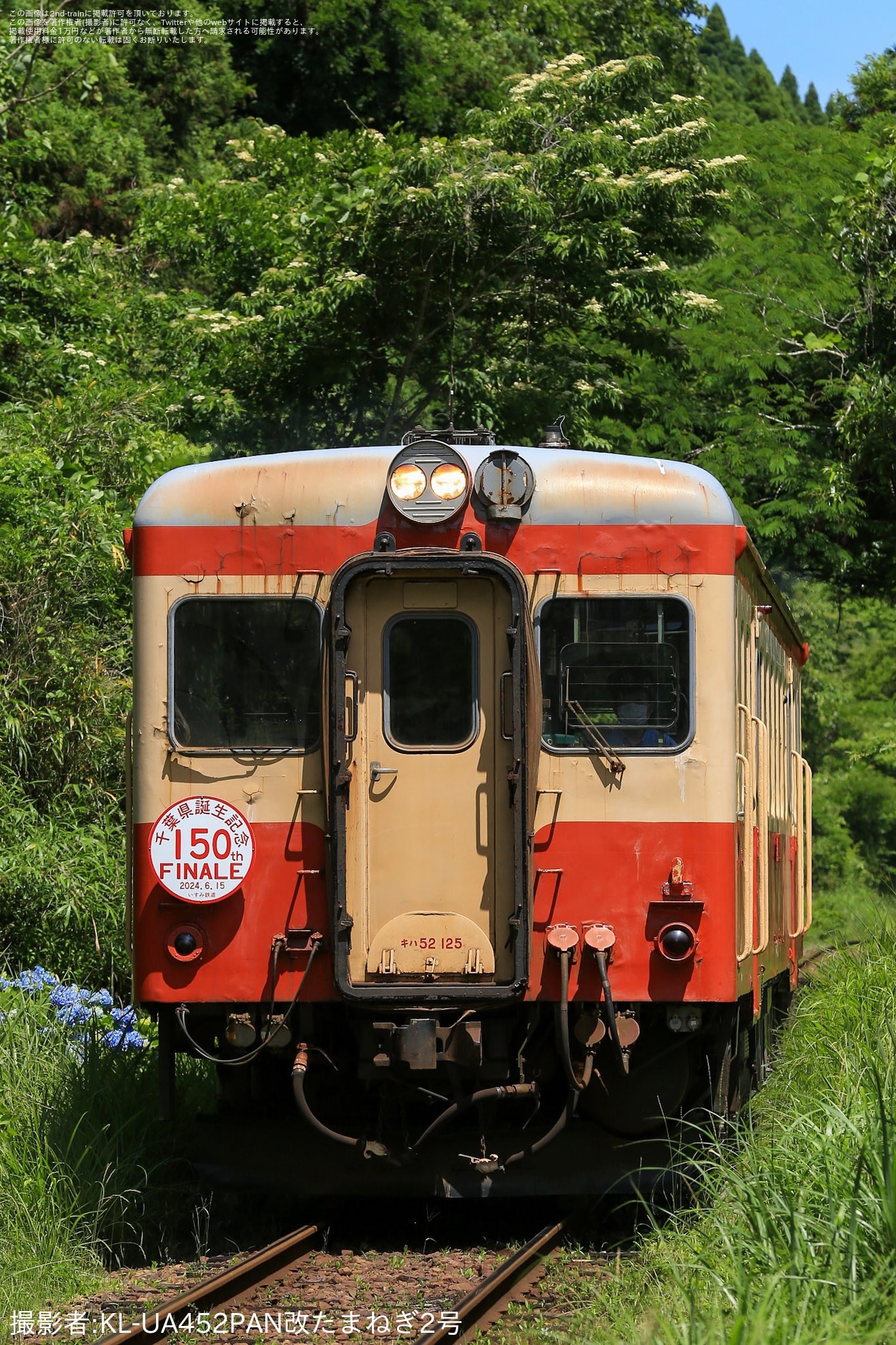 【いすみ】キハ52-125へ千葉県誕生150周年記念事業フィナーレのヘッドマークが取り付けの拡大写真