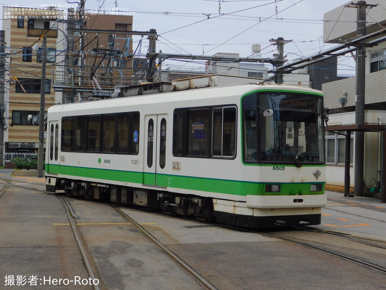 【都営】都電荒川線「2024路面電車の日記念イベント」開催の拡大写真