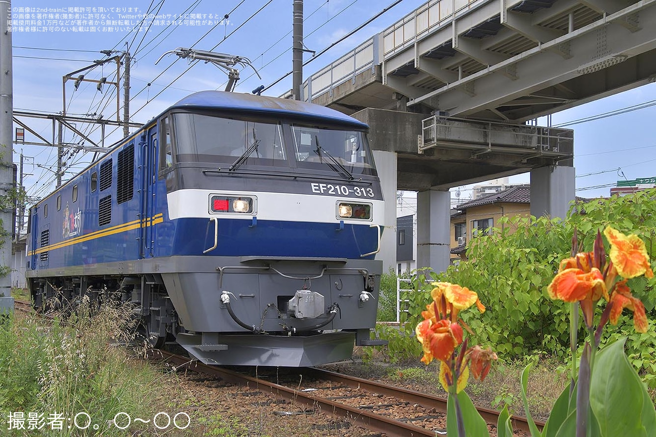 【JR貨】EF210-313が広島車両所出場構内試運転の拡大写真