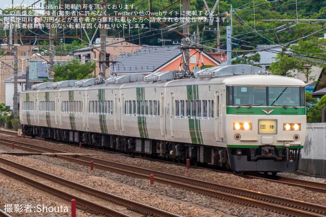 【JR東】「国鉄型185系で行く両国発品川行きの旅」ツアーが催行を平塚～大磯間で撮影した写真