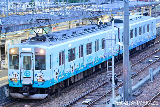 【近鉄】1259系VC66「ミジュマルトレイン」明星返却回送を塩浜駅で撮影した写真