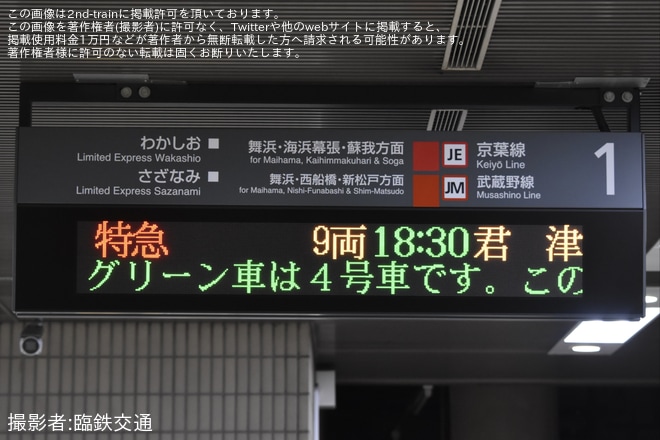 【JR東】特急さざなみ号255系による代走運行終了を東京駅で撮影した写真