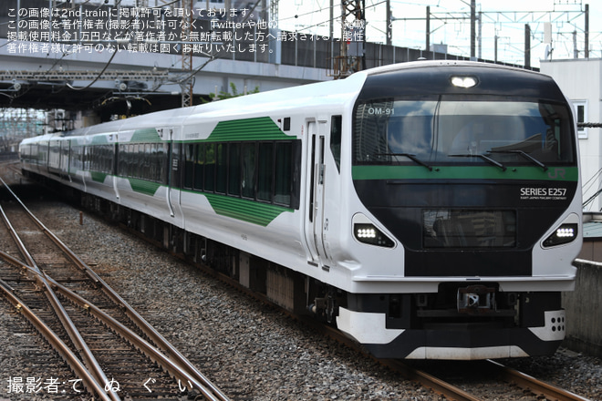 【JR東】E257系オオOM-91編成が幕張車両センターへ回送を武蔵浦和駅で撮影した写真