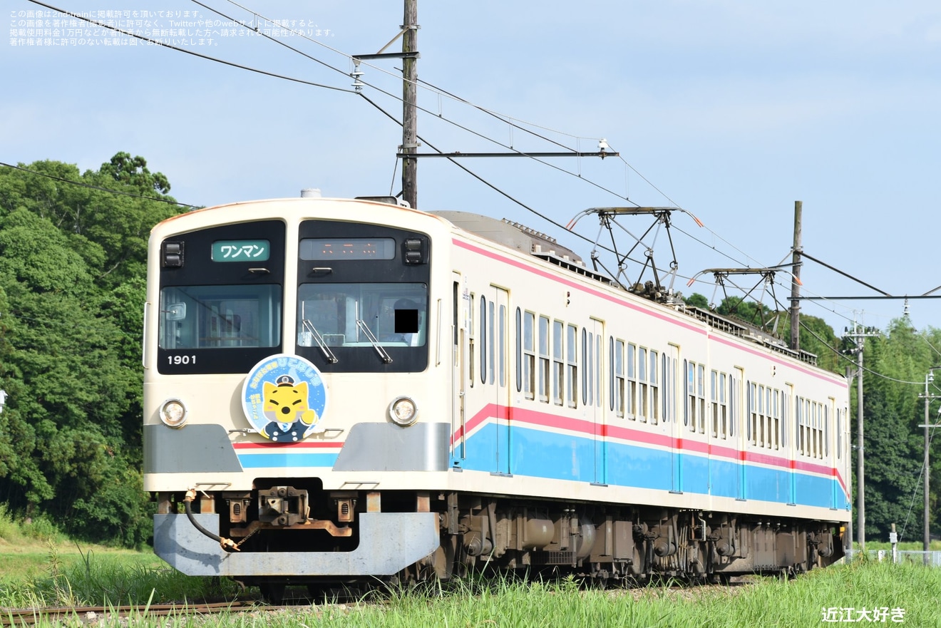 【近江】「たなばた電車」ヘッドマークを取り付けの拡大写真