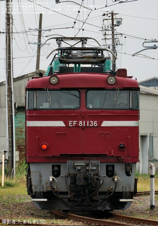 【JR東】EF81-136が秋田総合車両センターへ回送、廃車の可能性もを不明で撮影した写真