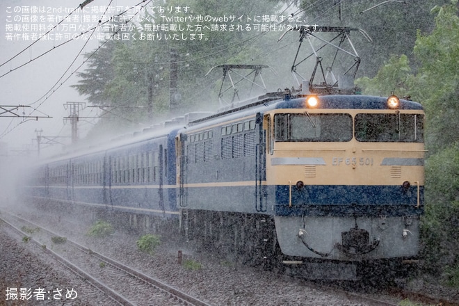 【JR東】臨時快速「EL七夕よこかわ」を運行