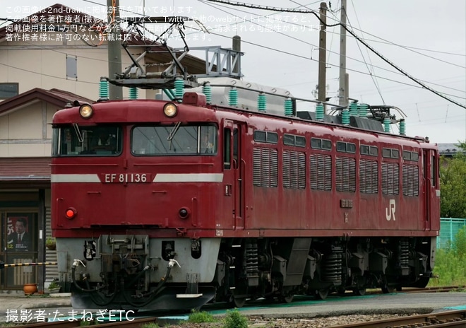 【JR東】EF81-136が秋田総合車両センターへ回送、廃車の可能性もを不明で撮影した写真