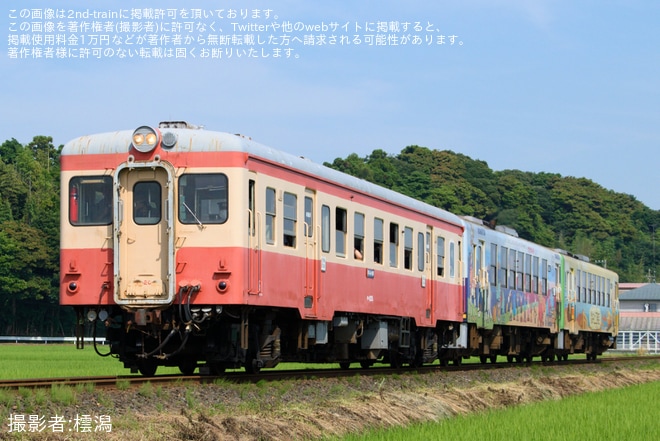 ひたちなかキハ20形キハ205の編成データ、編成表、ニュース