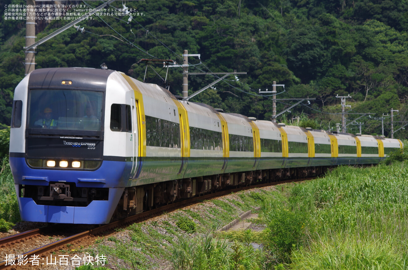 【JR東】255系使用の特急「新宿さざなみ」 運行の拡大写真