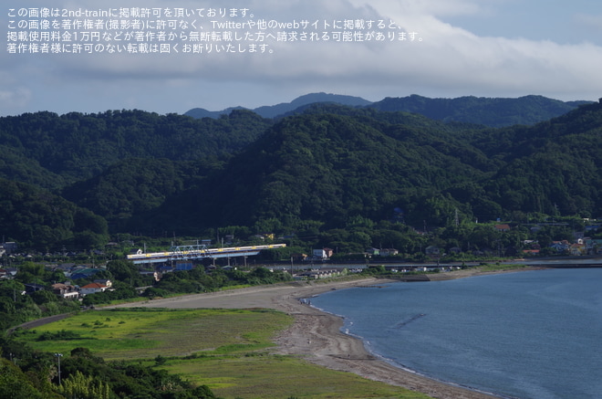 【JR東】255系使用の特急「新宿さざなみ」 運行