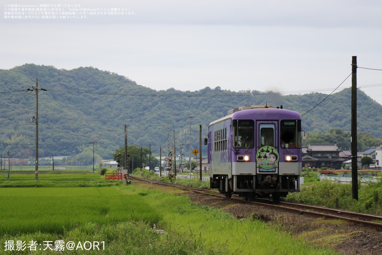 【北条】ヘッドマーク掲出「カブト虫列車」が催行の拡大写真