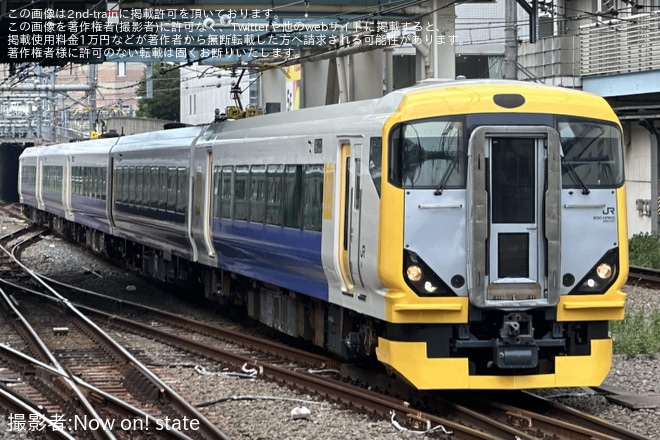 【JR東】E257系マリNB-17編成 大宮総合車両センター出場を池袋駅で撮影した写真