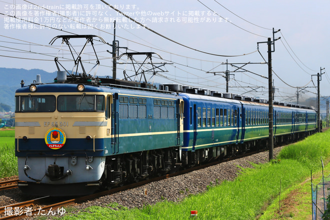 【JR東】臨時快速「ELぐんまちゃん横川号」を運行を安中～磯部間で撮影した写真