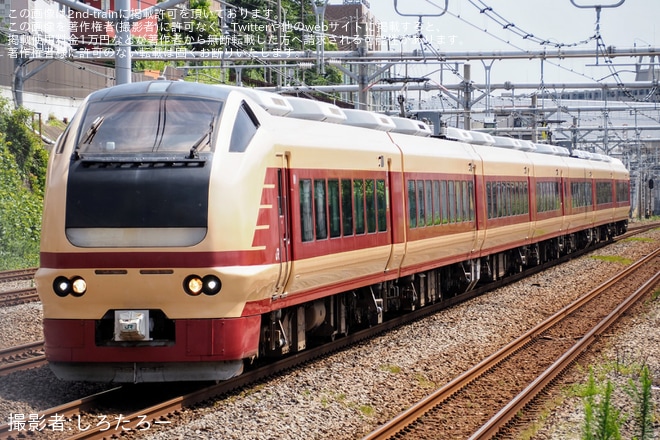 【JR東】臨時特急「常磐鎌倉号」が運行を不明で撮影した写真