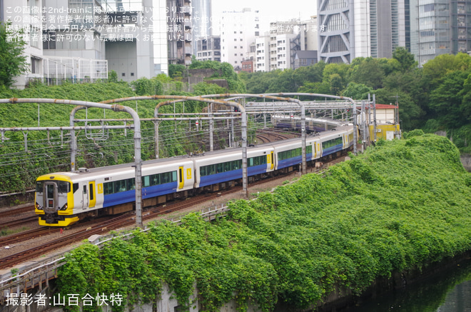 【JR東】E257系10両による特急「新宿さざなみ」 運行を水道橋～御茶ノ水間で撮影した写真