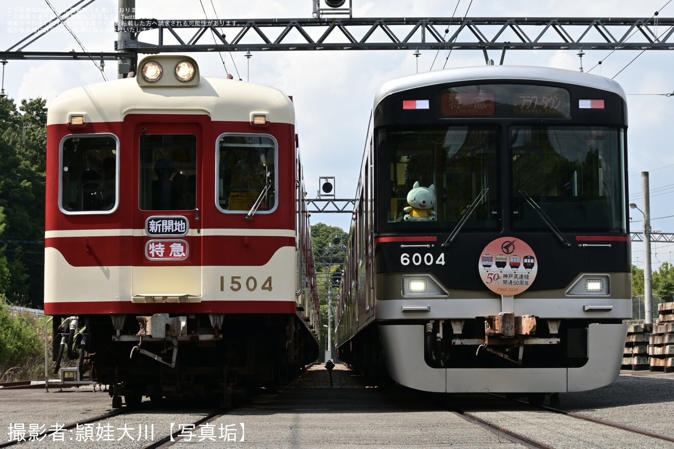 【神鉄】貸切列車で行く道場車庫撮影会の拡大写真