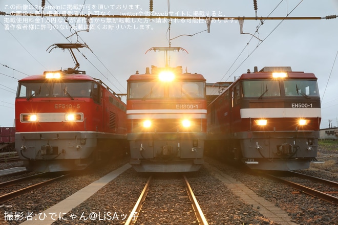 【JR貨】東青森駅にて「機関車撮影会」が開催を東青森駅で撮影した写真