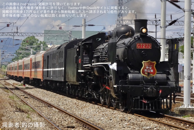 【台鐵】CT273牽引のSL仲夏寶島號(2024)