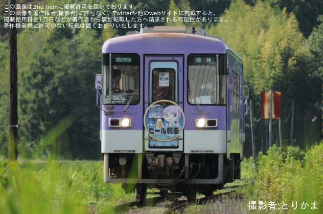 【北条】第6回ビール列車が走る。を法華口～田原間で撮影した写真